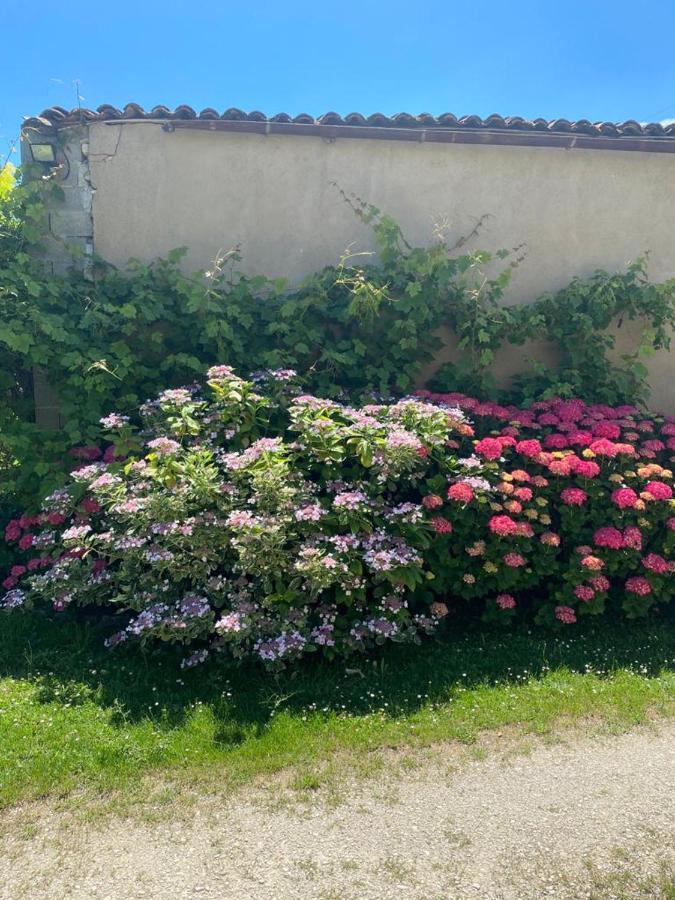 NO5 Chambre D'hotes Courcome Exterior foto